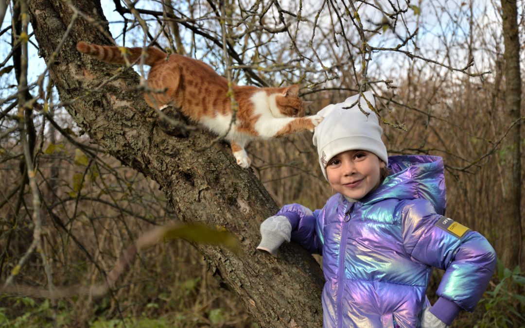 Осенняя фотосессия девочки с рыжим котом