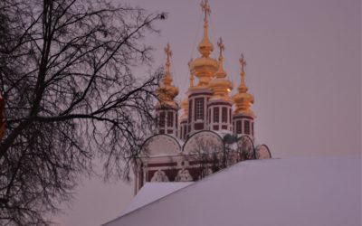 Новодевичий монастырь зимой (вечер)